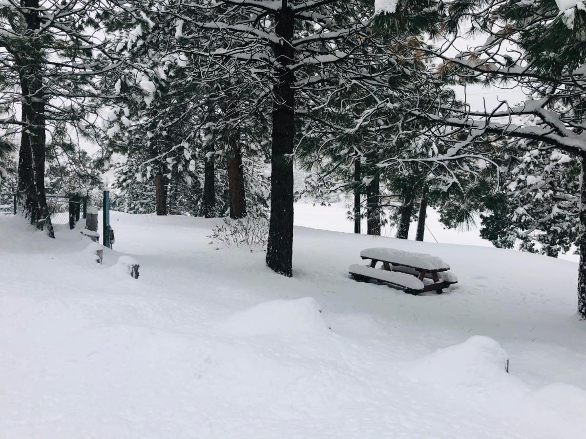 Mountain View Cabins Wrightwood Exterior foto